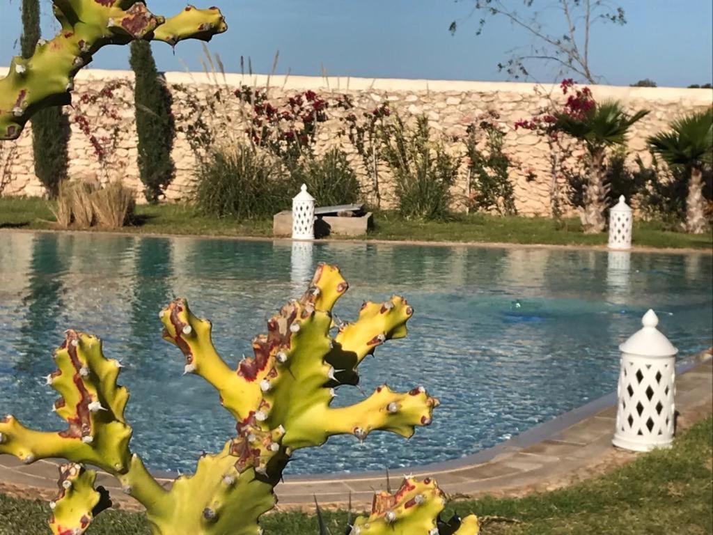La Maison D'Helene Essaouira Ghazoua Bagian luar foto
